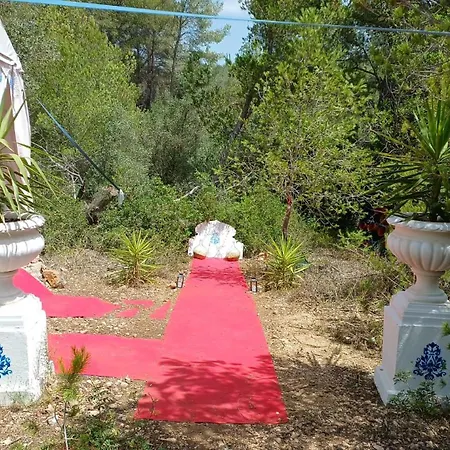 Art Claudia Farm stay